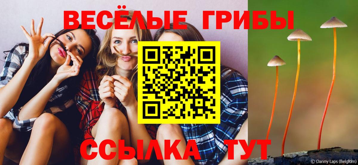 Галлюциногенные грибы Psilocybe  Вход с VPN  Псилоцибиновые грибы Cubensis  Ленинск-Кузнецкий 